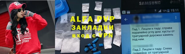 трава Бикин
