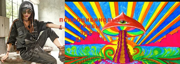 МДМА Новодвинск