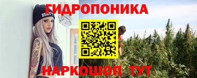 хмурый Донской