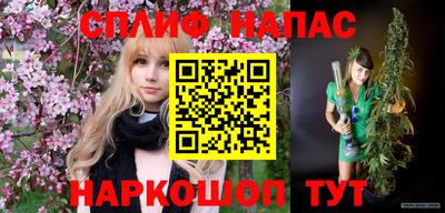 спиды Будённовск