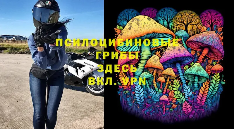 Псилоцибиновые грибы MAGIC MUSHROOMS  где найти наркотики  площадка Telegram  Изобильный 